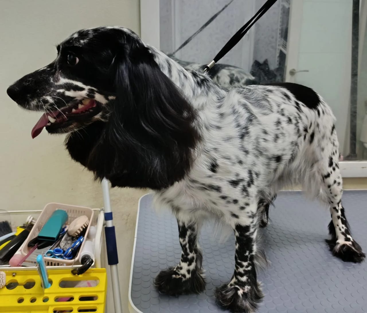 Наши работы